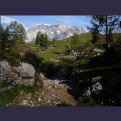 2007-05_04Gotzenalm (007).JPG